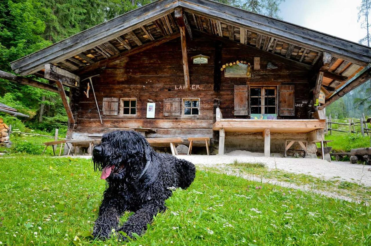 Pension Greti Schonau am Konigssee Bagian luar foto